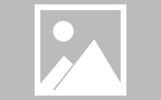 宜宾网页优化和设计人才（网站优化职位）